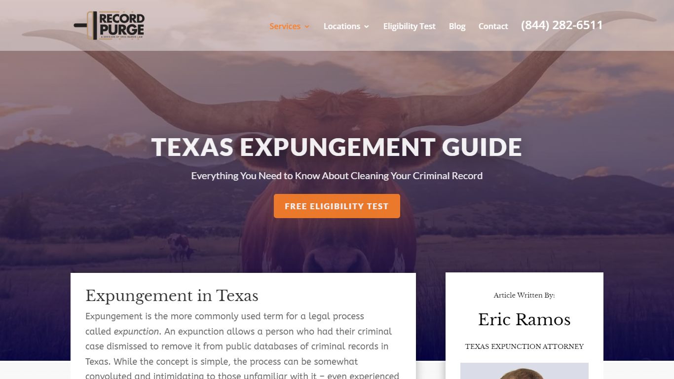 The Texas Expungement Guide | RecordPurge.com